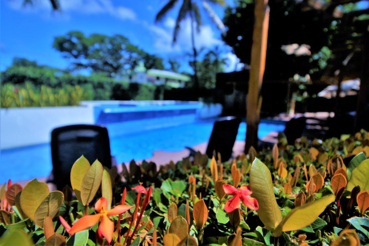 Hotel Maya Tulipanes 팔렝케 외부 사진